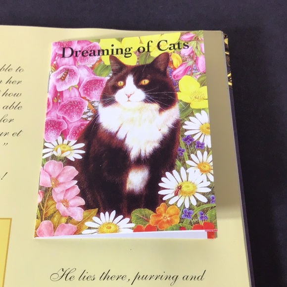 Catopia A Cat Compendium Big book of cat treasures & fun by Anne Mortimer 2007 - Picture 8 of 16